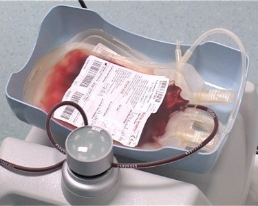 Таможенники сдали около 30 литров крови