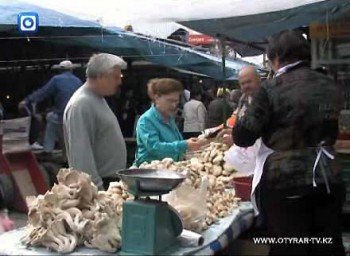 Первые грибы появились в продаже на рынках Шымкента