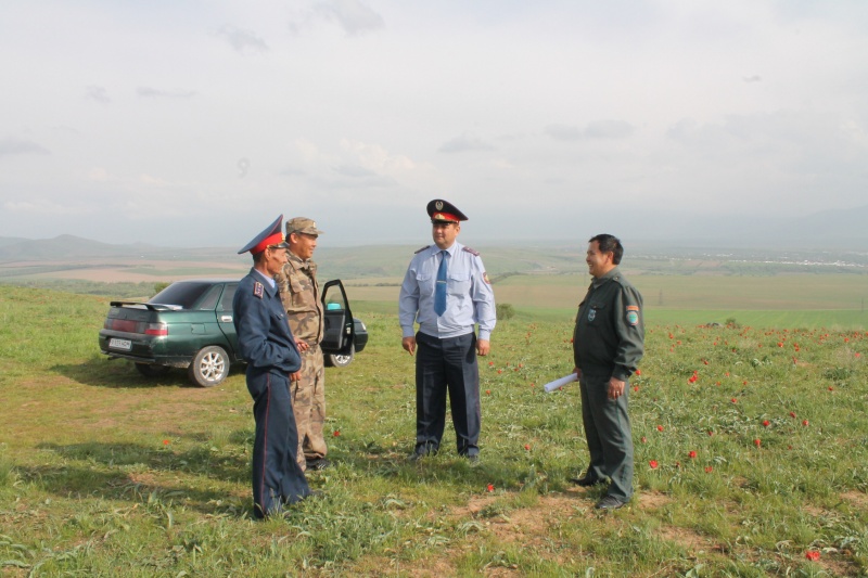 За погубленные тюльпаны в Казахстане предусмотрено уголовное наказание.