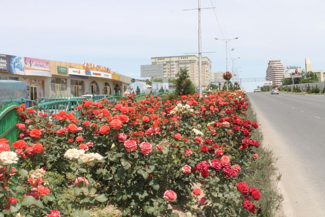 Проспект Кунаева утопает в цветах