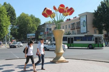 Яркие тюльпановые пятна украшают перекрестки Шымкента