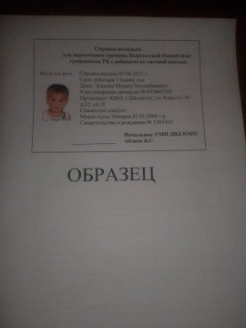 Справка для ввоза несовершеннолетних детей в Кыргызстан