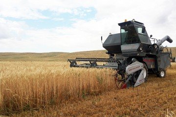 Для южно-казахстанских дехкан появятся новые возможности для развития сельского хозяйства
