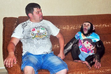 шимпанзе Боб вместе с хозяином Владимиром
