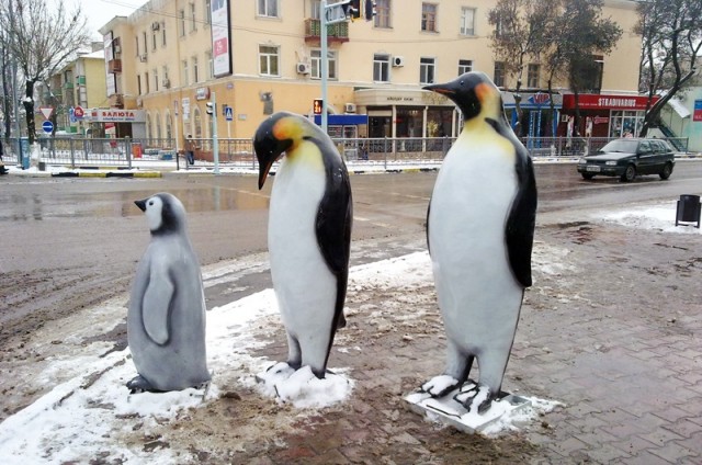 Семейка императорских пингвинов