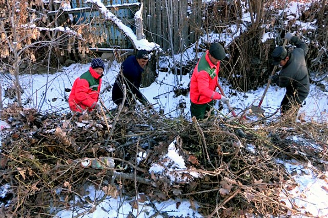 Работники "ЛТД Тұрмыс" очищают Янгичек от мусора