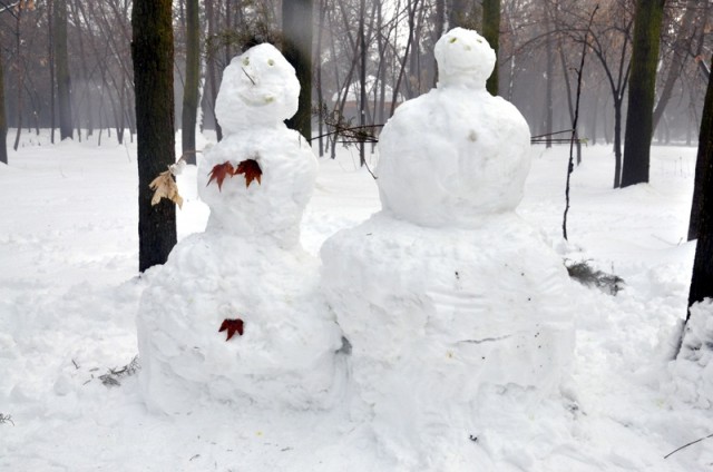 Снежные "секьюрити" охраняют покой дендропарка