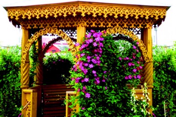 В современной садовой архитектуре перголы часто выполняют роль зеленой комнаты в заднем дворике-патио