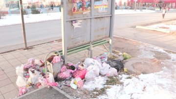 Жители сетуют что до ближайшей мусорки им приходится идти 1-2 остановки и поэтому оставляют мусор в неположенных местах