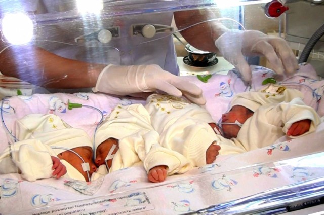 Родители уже выбрали имена для малышей: Фатима, Хасан, Зухра и Захра