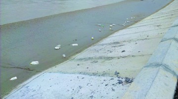 Шымкентцы уже начали осваивать новое место отдыха - в реке появился первый мусор