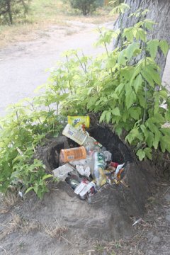 В нашем городе любой предмет может стать урной для мусора