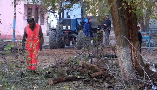 В микрорайоне "Нефтеразведка" поселка Тогуз началась санитарная вырубка деревьев