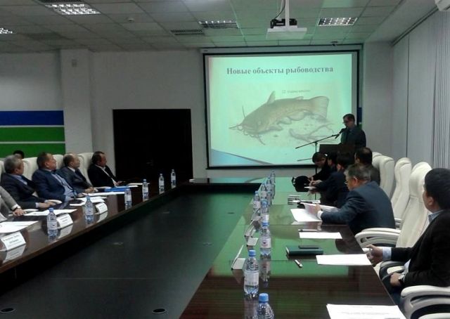 В Шымкенте обсудили перспективы развития рыбного хозяйства в ЮКО