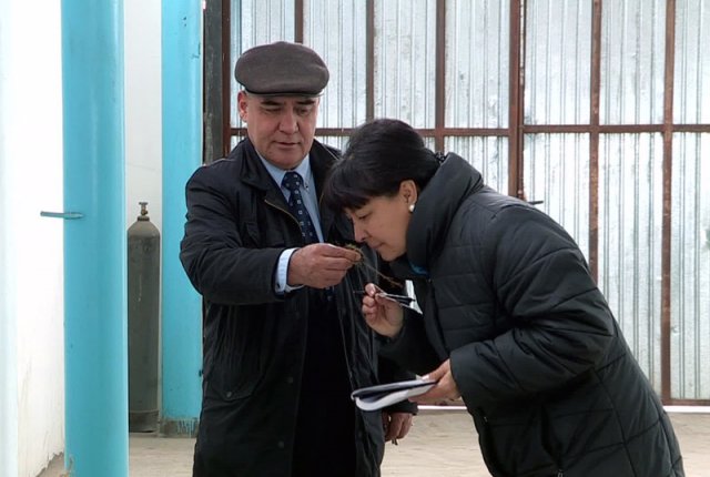 Южноказахстанские лекарственные травы пользуются спросом за рубежом