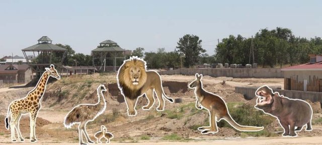 На реконструкцию шымкентского зоопарка выделено более 1 миллиарда тенге