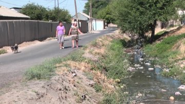 Жителям одной из улиц Шымкента грозит экологическая беда 