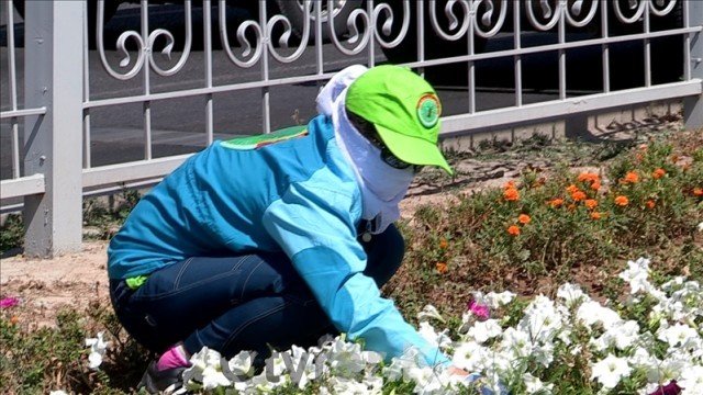 Причина засыхания цветов в Шымкенте установлена. Кто же понесет наказание?