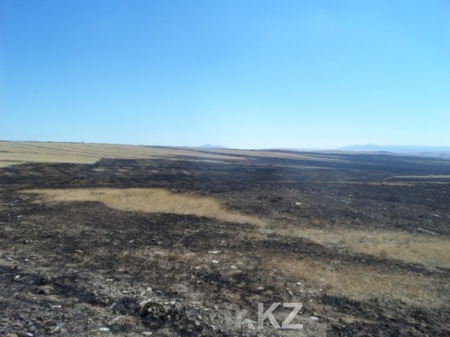 В Байдибекском районе выгорело 2000 га земли