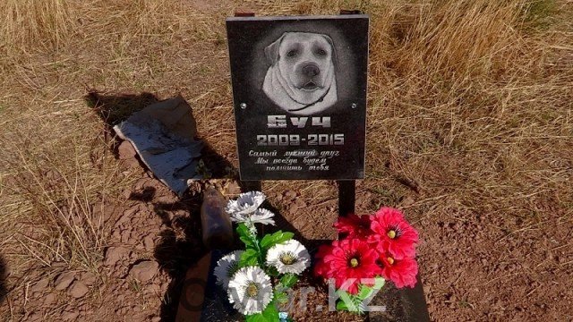 Кладбище домашних животных в Шымкенте