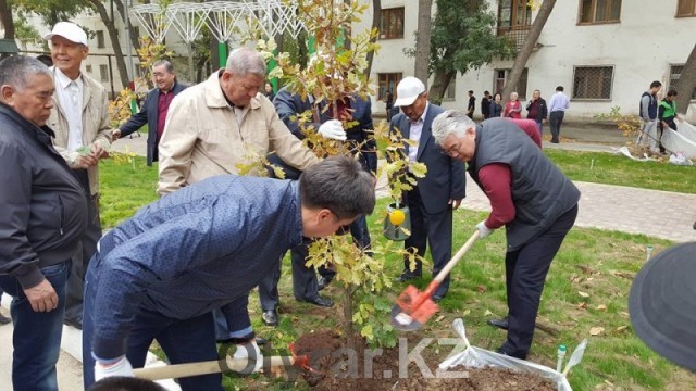 Празднование Дня города Шымкент стартовало общегородским субботником