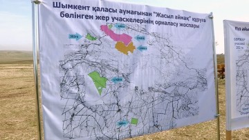Более трех миллионов саженцев деревьев высадили вокруг Шымкента