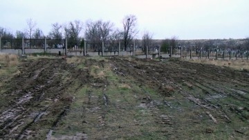 Неофициальное кладбище домашних животных в Шымкенте уничтожено
