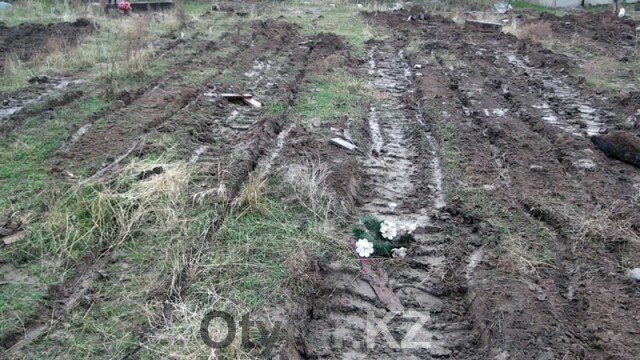 Неофициальное кладбище домашних животных в Шымкенте уничтожено