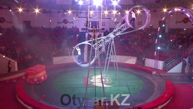 В шымкентском цирке проходят новые уникальные представления