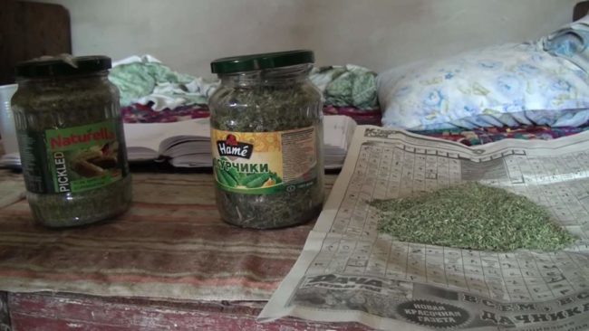 Наркотический кластер устроил в своем доме житель Шымкента