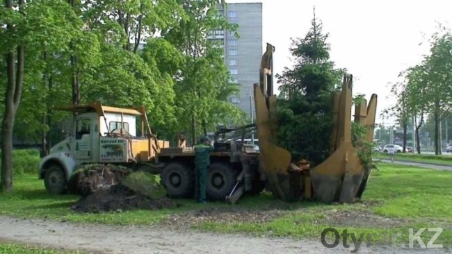 Шымкентский дендропарк приобрел супер-машину для пересадки деревьев
