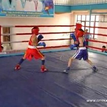 За звание лучшего борются боксеры юга