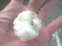 Субботний град внушительных размеров