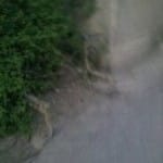 Самый лучший двор Шымкента