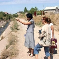 В канале «Шымкентский» обнаружена кишечная палочка и вирусы гепатита