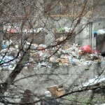 Мусоровывозящим компаниям не до нас