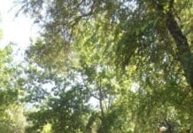 О жизни узбеков и казахов ЮКО узнают в Канаде. Материал для книги уже собран