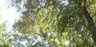 О жизни узбеков и казахов ЮКО узнают в Канаде. Материал для книги уже собран