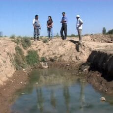 Шымкентский дендропарк засыхает