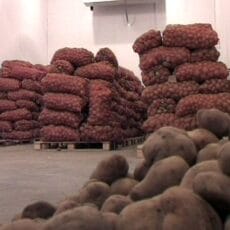 Программа по стабилизации цен на фрукты и овощи в ЮКО на грани срыва