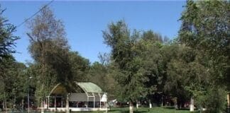 Хотите хорошо отдохнуть в воскресенье? Тогда приходите