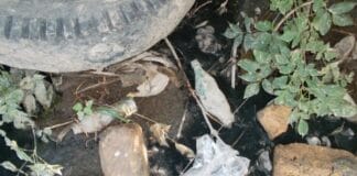 Берега рек Южного Казахстана превращаются в свалку отходов