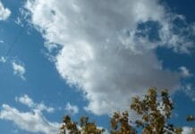 Температура и осадки выше нормы — опубликован консультативный прогноз на май