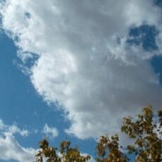 Время доставать зонты. Дожди и ветра обещают синоптики жителям Шымкента