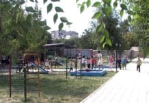 Житель ЮКО заработал 10 млн тенге на детских «мёртвых душах»