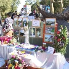 Интерес к местному туризму в Шымкенте поднимают с помощью цветов