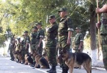 Кинологи Казахстана демонстрируют оперативные навыки своих подопечных