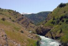 Куда пойти в воскресенье 7 августа