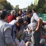 Ярмарка сельхозпродукции — выбор богатый, а цены кусаются