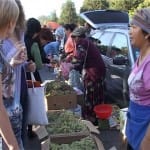 Перекупщиков на ярмарку полицейские больше пускать не будут